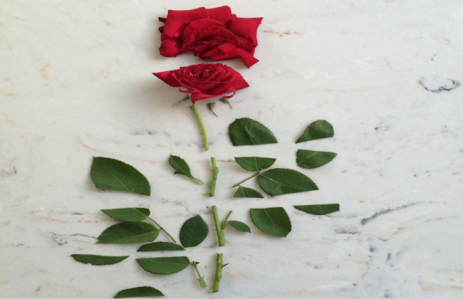 Ανάδρομος Ερμής στους Ιχθύς από 26 Φεβρουαρίου ως 21 Μαρτίου 2026. Προβλέψεις για τα ζώδια.