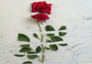 Ανάδρομος Ερμής στους Ιχθύς από 26 Φεβρουαρίου ως 21 Μαρτίου 2026. Προβλέψεις για τα ζώδια.