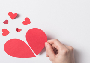 Για ποιους λόγους χωρίζουν τα ζώδια;