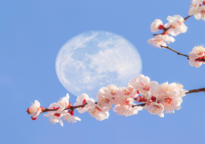 Πανσέληνος στον Ζυγό στις 2 Απριλίου 2026. Προβλέψεις για τα ζώδια.